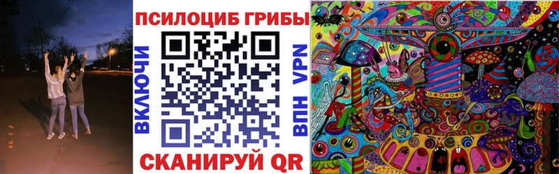 Псилоцибиновые грибы мицелий  магазин    Петровск-Забайкальский 