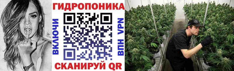 мега зеркало  Петровск-Забайкальский  Каннабис семена  где купить наркоту 